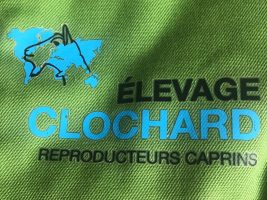 elevage-caprin-jerome-clochard